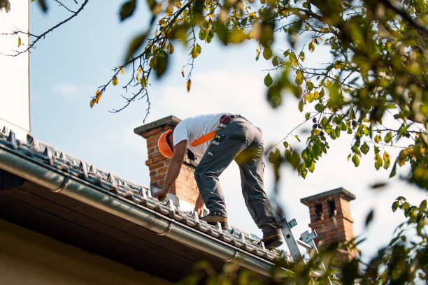 Best Roof Leak Repair  in Oakwood, GA
