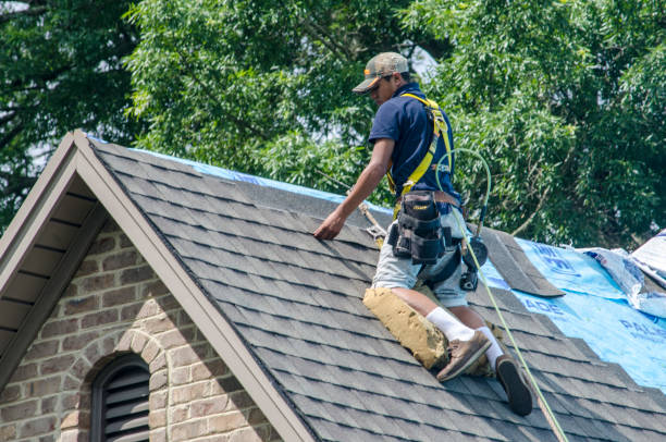 Roof Waterproofing Services in Oakwood, GA